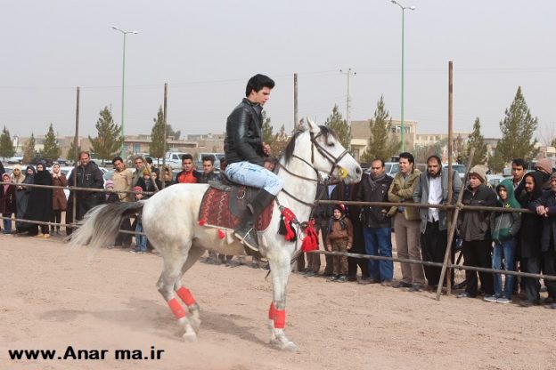 تصاویرجشنواره زیبایی اسب در امین شهر انار - 
